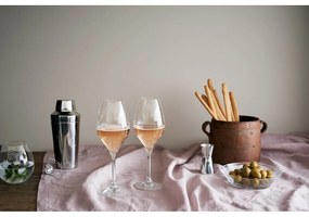 Чаши за пенливо вино в комплект от 2 броя 370 ml Premium - Rosendahl
