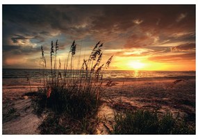 Самозалепващ фототапет – Залез на плажа
