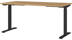 Работна маса с електрическо регулиране на височината с дъбов плот 80x160 cm Agenda – Germania