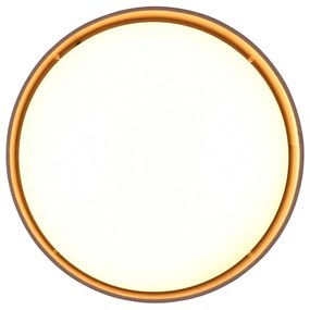 Светлокафяво LED осветление за таван ø 30 cm Locarno - Trio