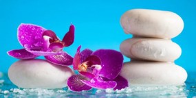 Картина на платно – Уелнес натюрморт