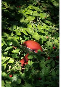 Червена LED затъмняваща се настолна лампа (височина 20 cm) Mush – Hübsch