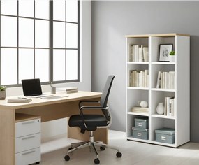 Библиотека Organizer II-Leuko-Sonoma