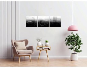 Картини в комплект от 3 бр. 40x40 cm City - Wallity