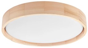 Brilagi - LED таванно осветление MANAROLA SIMPLE LED/24W/230V 3000K
