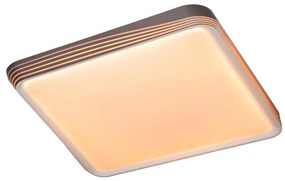 Rabalux 71166 - LED таванно осветително тяло DRUZOR LED/40W/230V 3000K