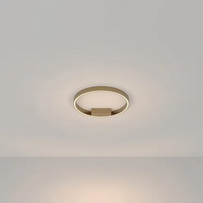 MAYTONI Плафон Rim - MOD058CL-L25BS3K
