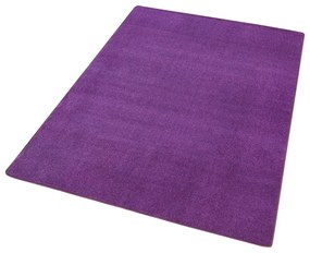 Тъмнолилав килим 160x240 cm Fancy – Hanse Home