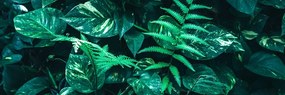 Картина на платно – Свежи тропически листа