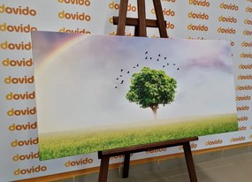 Картина на платно – Самотно дърво на ливада