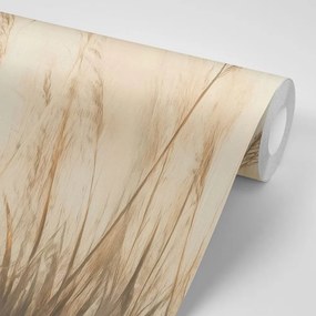 Тапет – Сухи растения в бежов цвят