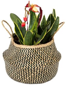 Кошница за съхранение от морска трева , ⌀ 35 cm Zic Zac - Compactor