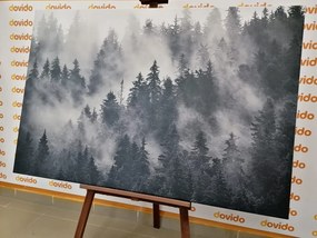 Картина на платно – Планини в мъгла в черно-бяло изпълнение