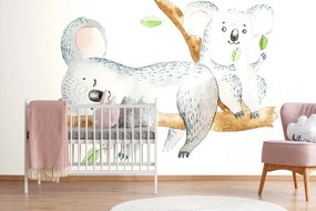 Тапет – Сладки коали