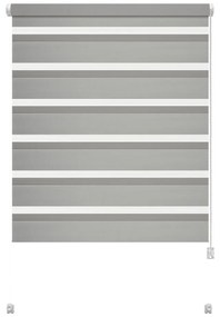 Сива ролетна щора ден и нощ 97x150 cm Zebra – Gardinia