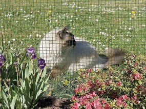 Nortene - Оградна мрежа Fensanet plast 19 - 0,5 х 5 м