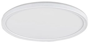 Rabalux 3428 - Димируемо LED таванно осветително тяло PAVEL LED/22W/230V