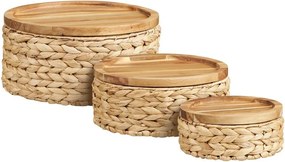 Кошници в комплект 3 бр. от воден зюмбюл ø 30x15 cm Botofte – House Nordic