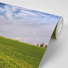 Фототапет – Магичен пейзаж