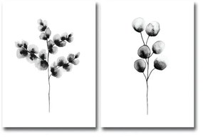 Комплект от 2 картини Galilo - Wallity