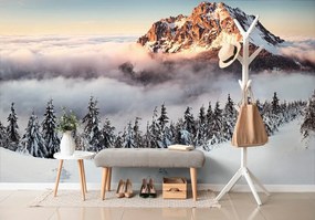 Фототапет – Розсутец в снежно одеяло
