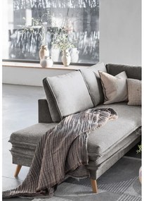 Сив разтегателен ъглов диван (ляв ъгъл) Charming Charlie – Miuform