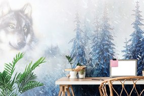 Тапет – Вълк в заснежена местност