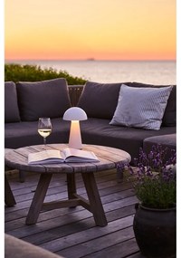 Декорация с бяла светлина Sam - Sirius