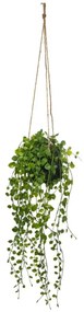 Изкуствено растение atmosphera Living, 10.5 cm