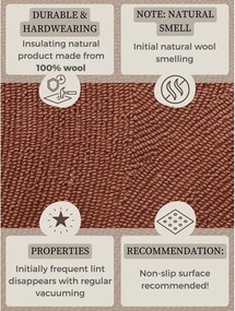 Ръчно изработен вълнен килим в тухлен цвят 200x300 cm Calmio – Hanse Home