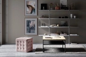 Пуф Wisdom-розов