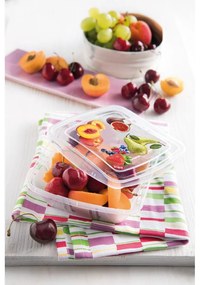 Комплект от 3 класически кутии за храна, 0,5 л - Snips