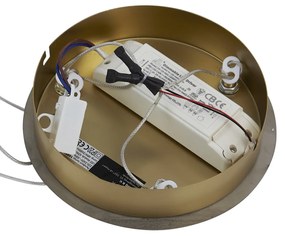 Дизайнерска висяща лампа златиста с 3-степенно димиране - Organico