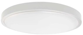 LED Плафон за баня LED/24W/230V 3000K IP44 бял