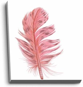 Живопис 45x70 cm Feather - Wallity