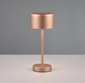 LED настолна лампа с възможност за димиране от мед (височина 30 cm) Jeff - Reality
