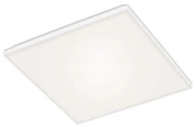 Briloner 7376-116 - LED Плафониера FRAMELESS LED/24W/230V