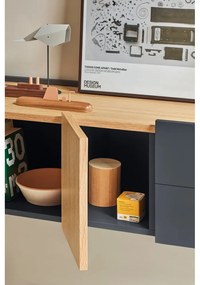 Нисък скрин в антрацит и естествен дъб 110x23 cm Otto - Teulat