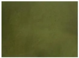 Хартиена подложка за хранене 33x44см зелена (TVN00 V)-ПАКЕТ 250бр LUNI PAPER - Horecano
