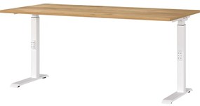 Работна маса с регулируема височина с дъбов плот 80x160 cm Downey – Germania