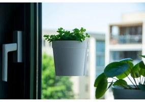 Пластмасови висящи саксии в комплект от 2 броя ø 10 см - Esschert Design