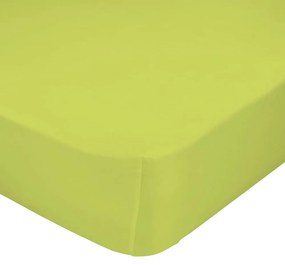 Зелен ластичен чаршаф от чист памук , 90 x 200 cm Basic - Happy Friday Basic