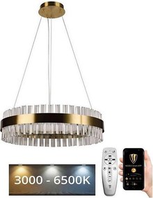 Brilagi - LED димируем кристален полилей на кабел HALO LED/40W/230V + ДУ