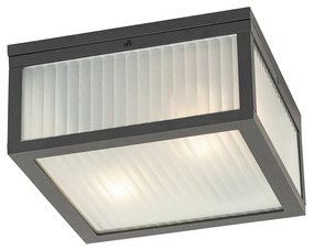 Външна таванна лампа черна с релефно стъкло 2-светлина IP44 - Charlois