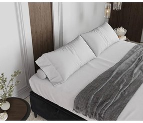 Антрацитно тапицирано двойно легло с място за съхранение 160x200 cm Tate – Maison de Rêve