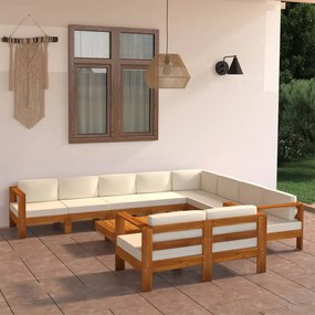 3057945 vidaXL Градински комплект с възглавници, 10 части, 100x60 см, акациево дърво