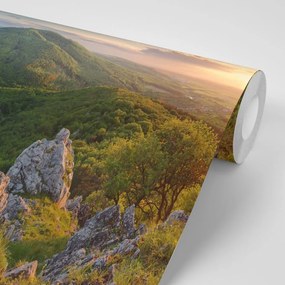 Фототапет – Природа окъпана в слънце