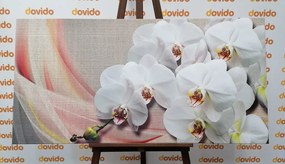 Картина на платно – Бяла орхидея на платно