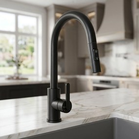 Смесител за кухня REA Ontario Black