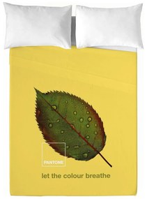 Комплект Чаршафи Nature Pantone - Размери - Легло 90 (160 x 270 см)